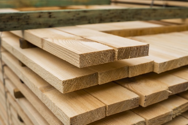 Mass Timber Interior